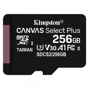 Cartão de Memoria Kingston SD XC 256gb 100MB/s Classe 10 c/ Adap.